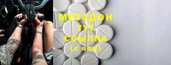 стаф Алзамай