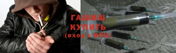 стаф Алзамай