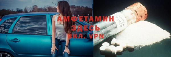 шишки Абаза