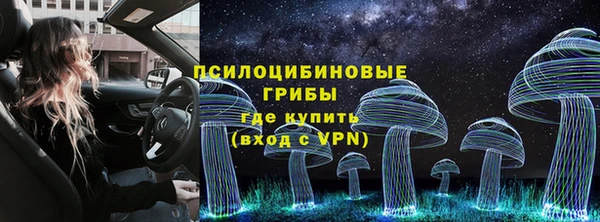 стаф Алзамай