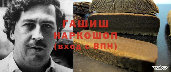 шишки Абаза
